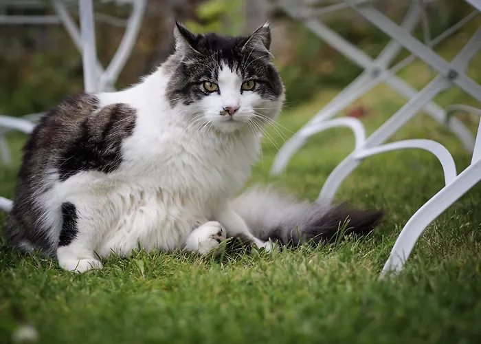 Skagakaia Casa de hóspedes *