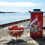 Skagakaia