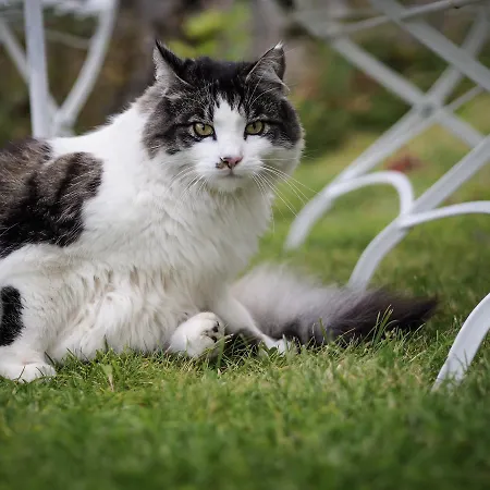 Skagakaia ゲストハウス *